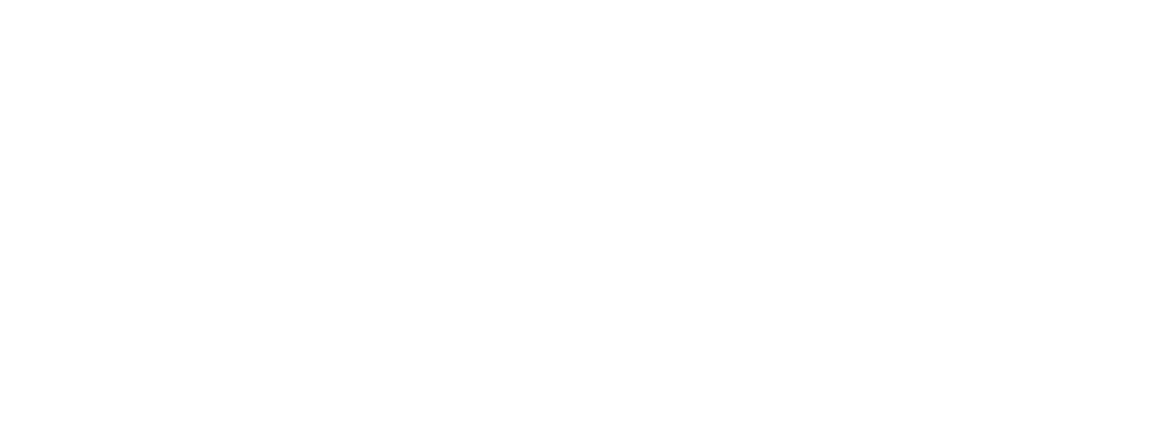 Forza Blindajes